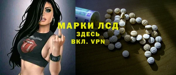 сатива Краснослободск