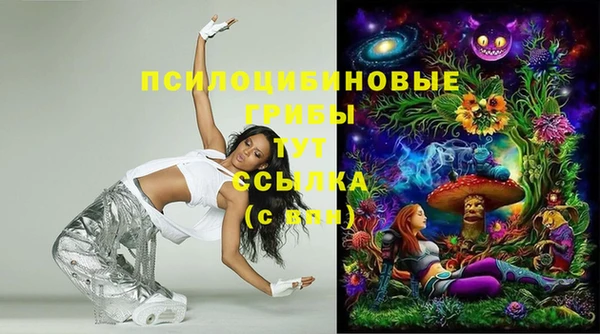 не бодяженный Коряжма