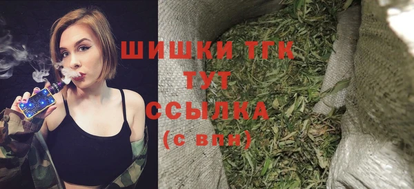 сатива Краснослободск