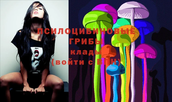 твердый Кулебаки