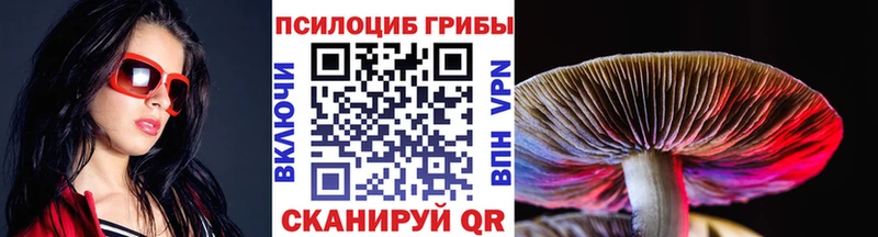 kraken онион  Сосновый Бор  Галлюциногенные грибы MAGIC MUSHROOMS 