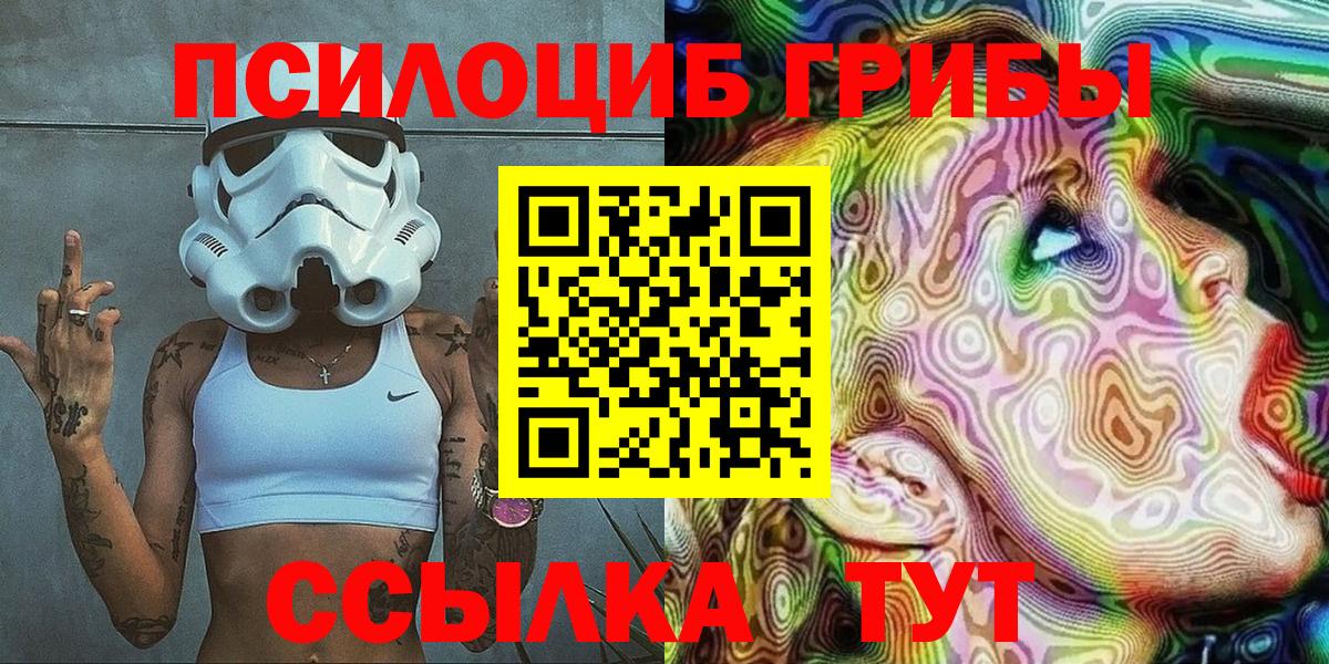Галлюциногенные грибы мицелий Сосновый Бор