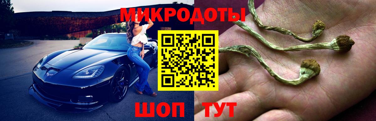 Псилоцибиновые грибы GOLDEN TEACHER  Псилоцибиновые грибы прущие грибы  Сосновый Бор 